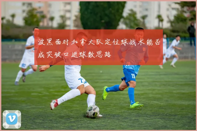 波黑面对加拿大队定位球战术能否成突破口进球数思路