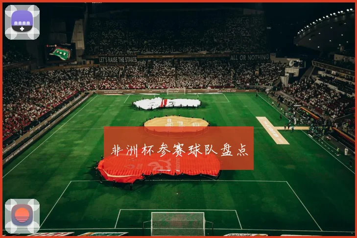 非洲杯参赛球队盘点