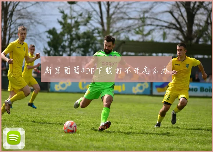 新京葡萄app下载打不开怎么办