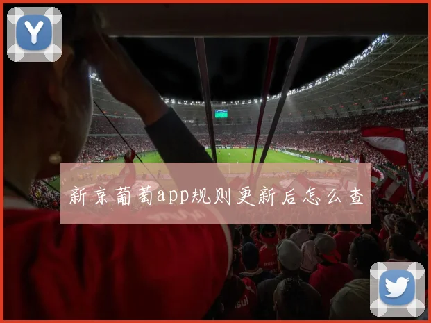 新京葡萄app规则更新后怎么查