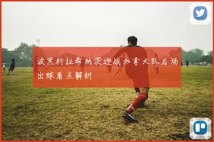 波黑科拉希纳茨迎战加拿大队后场出球看点解析