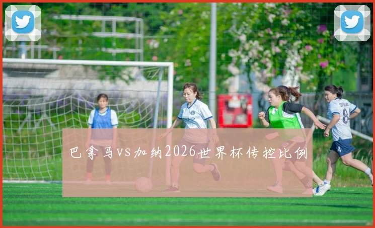巴拿马vs加纳2026世界杯传控比例